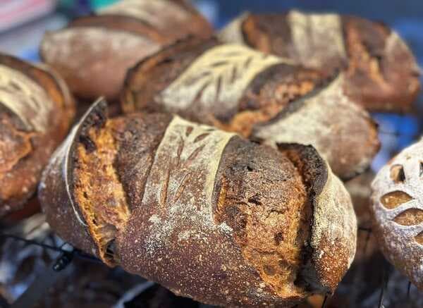 Ukrainian Black Rye